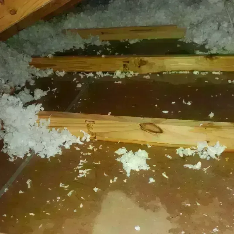 Attic Water Damage in Pocahontas County, WV